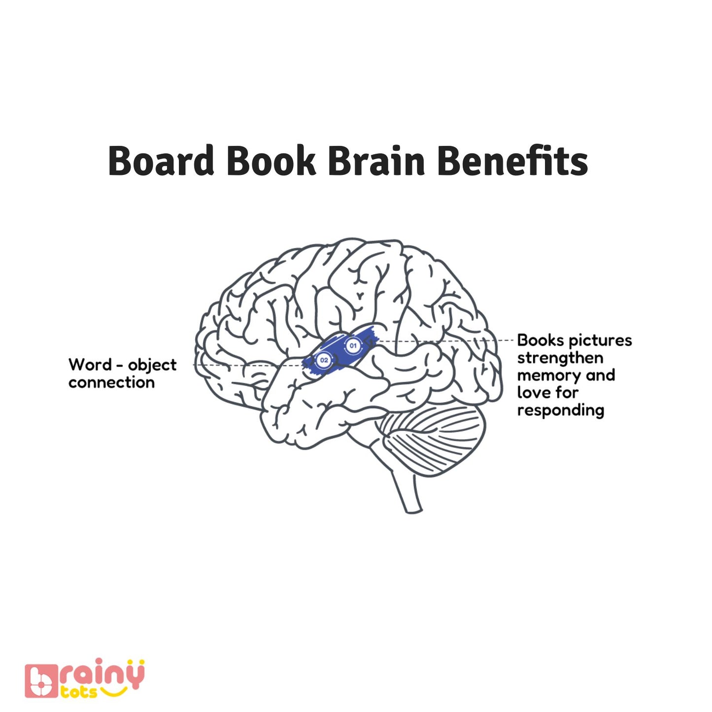 Unlock the cognitive advantages of our Board Books, meticulously crafted to stimulate early brain development in children. From enhancing language skills to fostering imagination and critical thinking, these books offer a wealth of brain-boosting benefits. Explore Brainytots' collection for a diverse selection of board books that nurture young minds and inspire a lifelong love for learning.