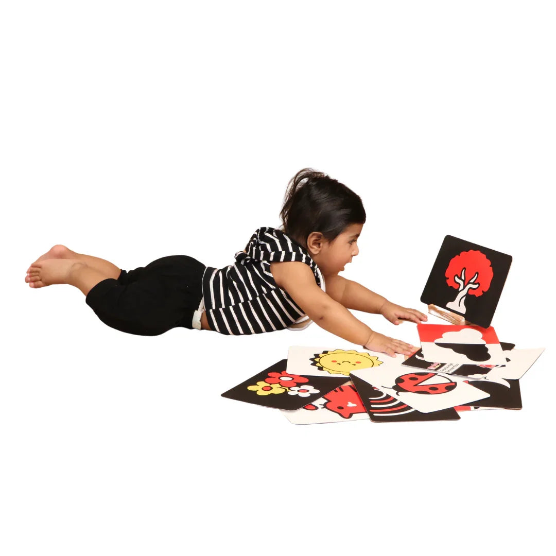 Colourful Flashcards for Infant Vision