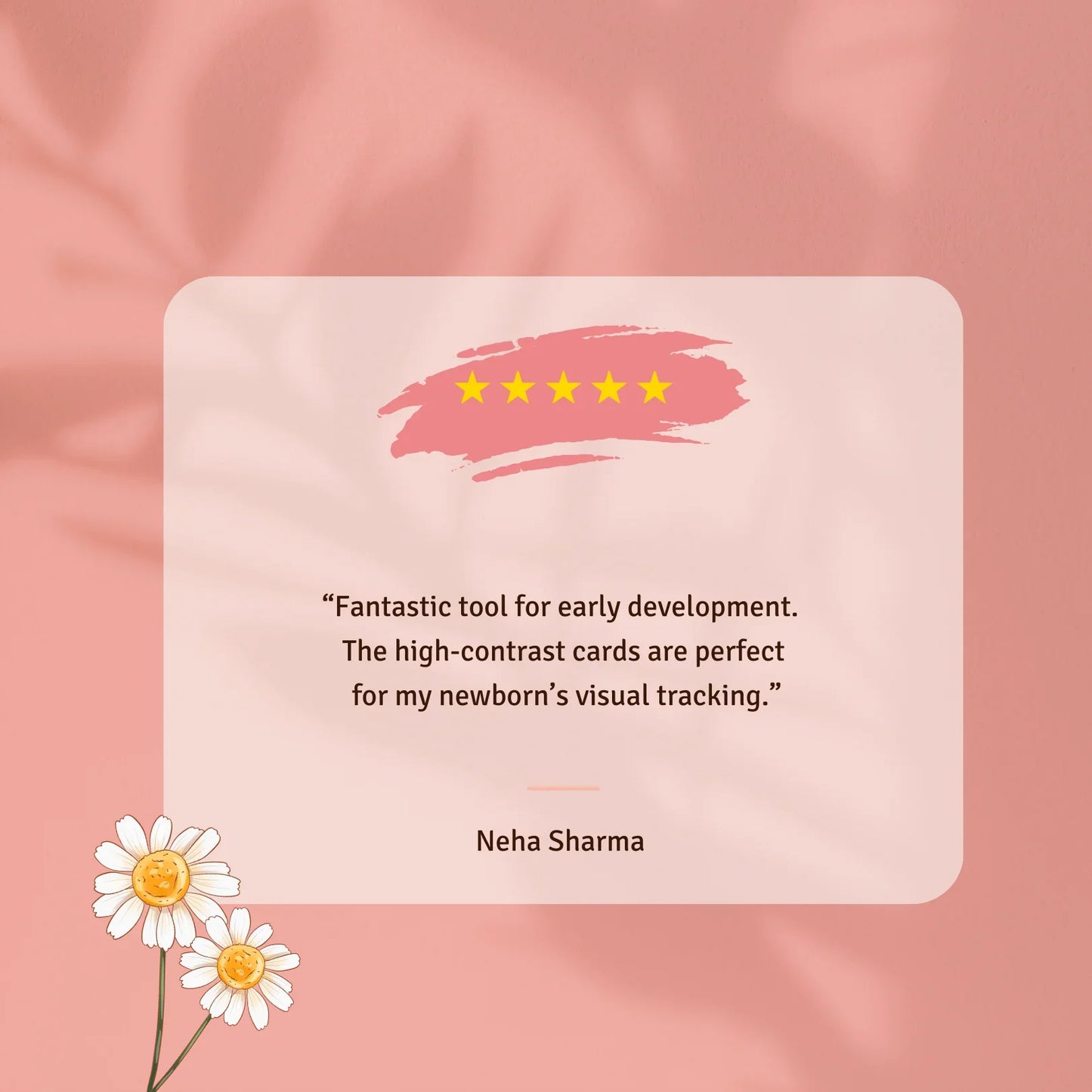 Flashcard Displayer | 2 Card Sets + Mirror