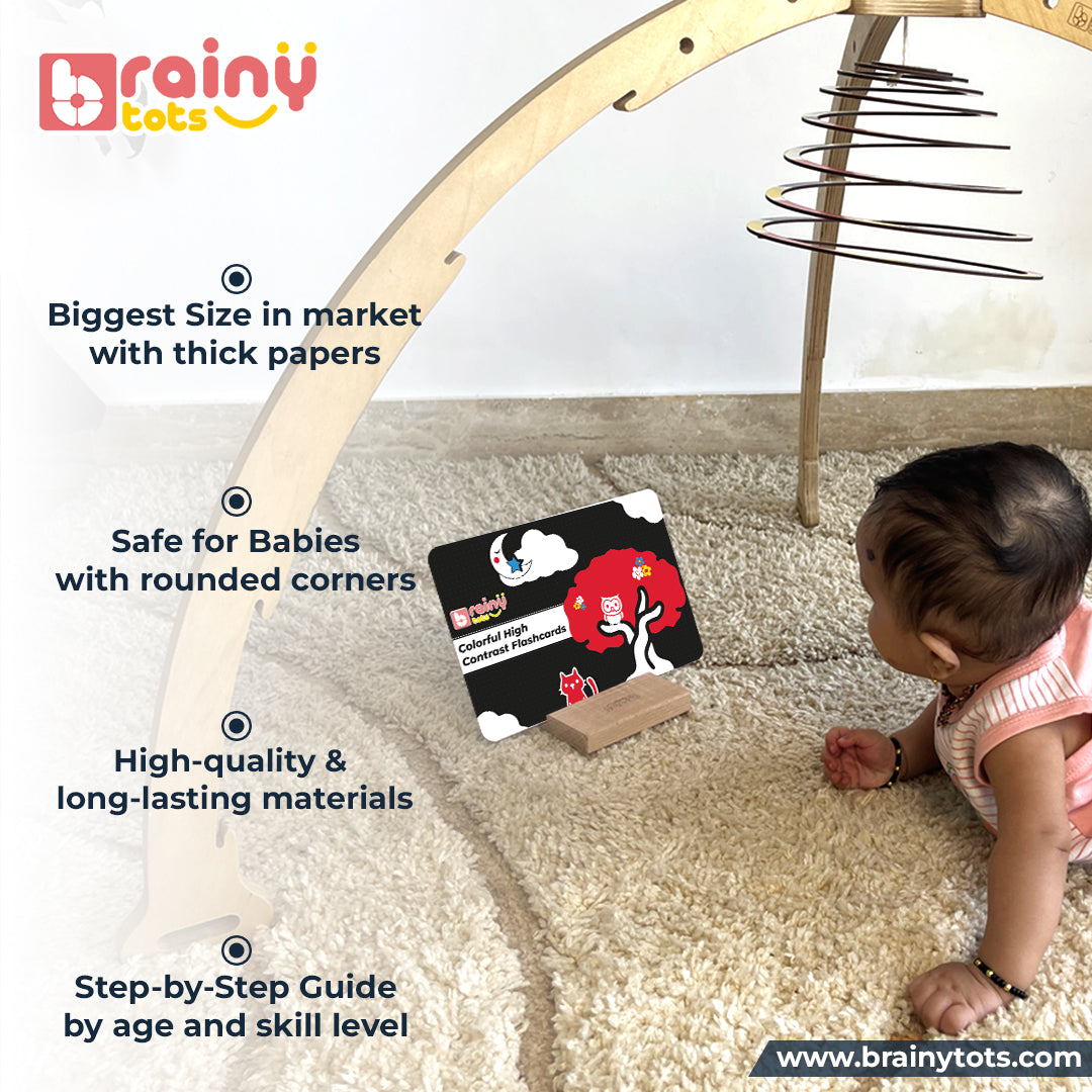Flashcards Kit of 8 Sets