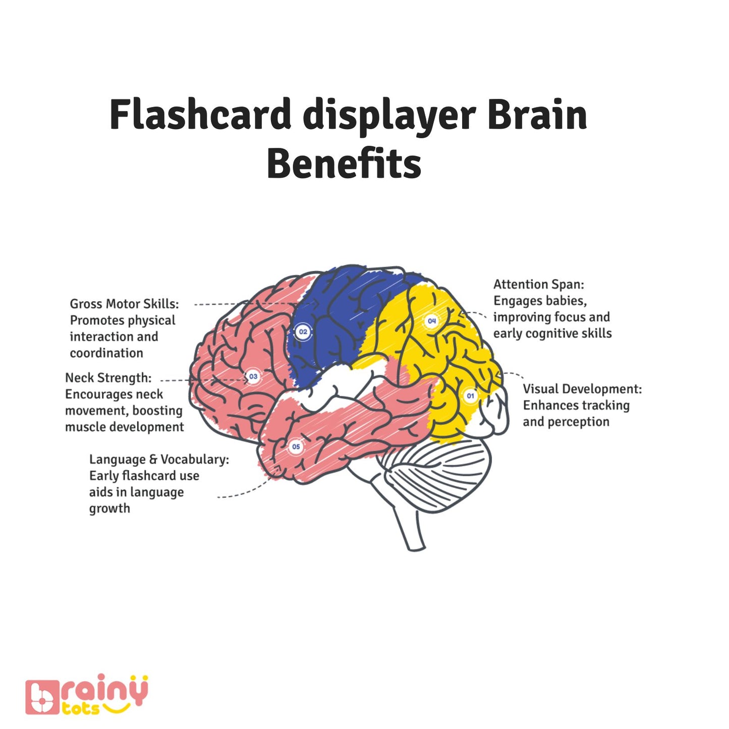 Brain benefits of our Flashcard Displayer, an educational tool for babies aged 0-6 months. Enhances visual and cognitive development, supports memory retention, and stimulates early learning in a Montessori environment. Safe and engaging for infants.