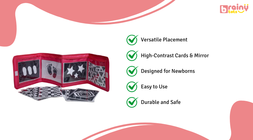 Explore the features of our Flashcards Displayer in this image, showcasing its user-friendly design and versatility in educational settings, ideal for effective learning and teaching aids.