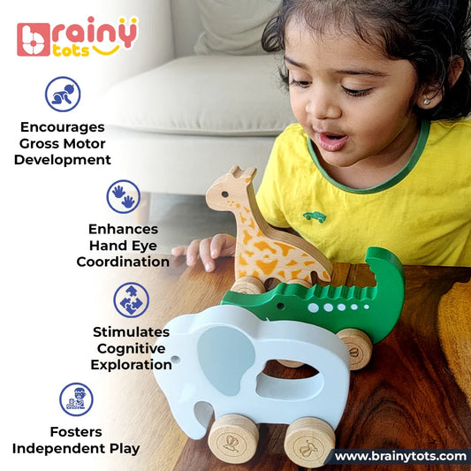 Jungle Riders - Wooden Push Toys for Babies | Set of 3 Animal Toys