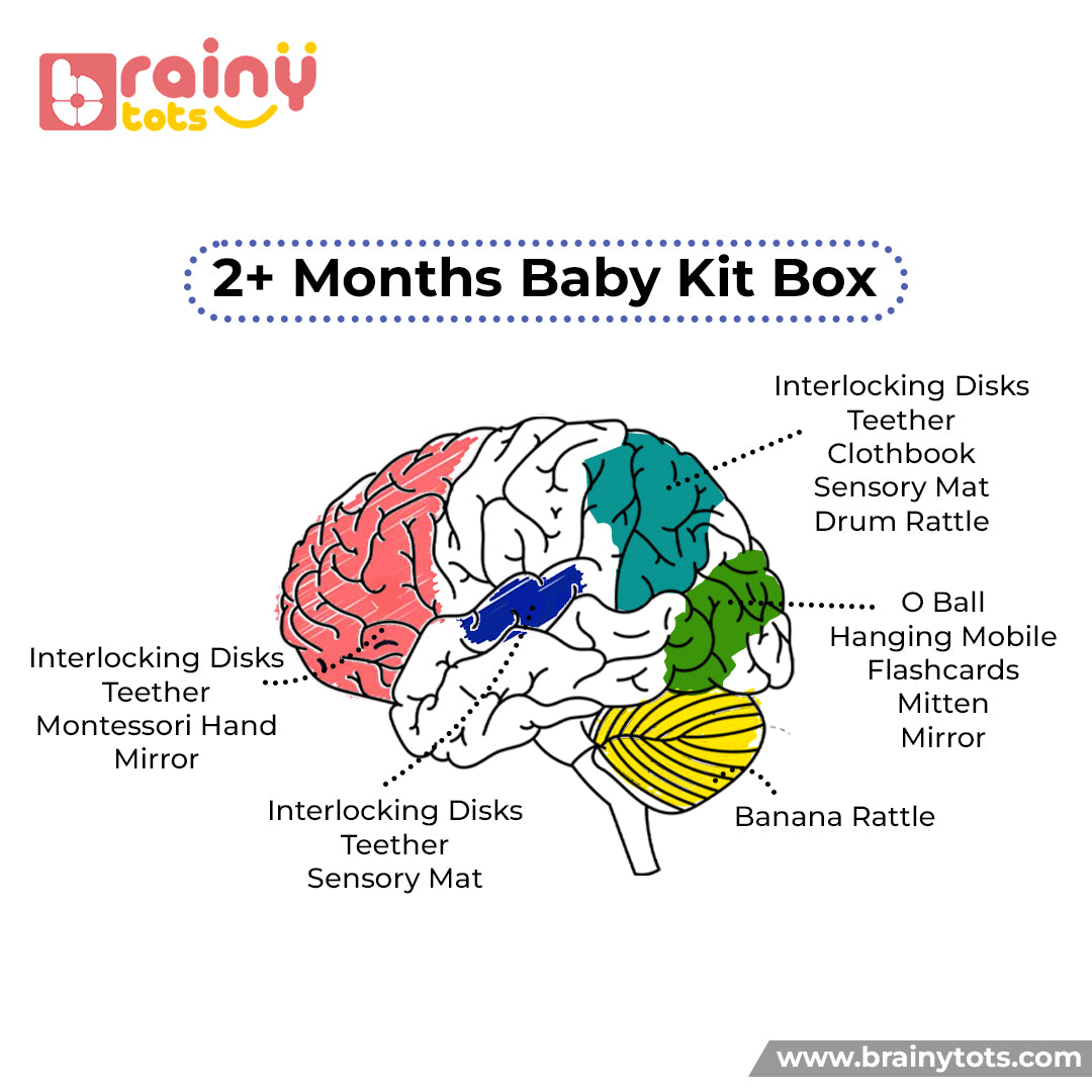 2-6 Months Baby Toy Box