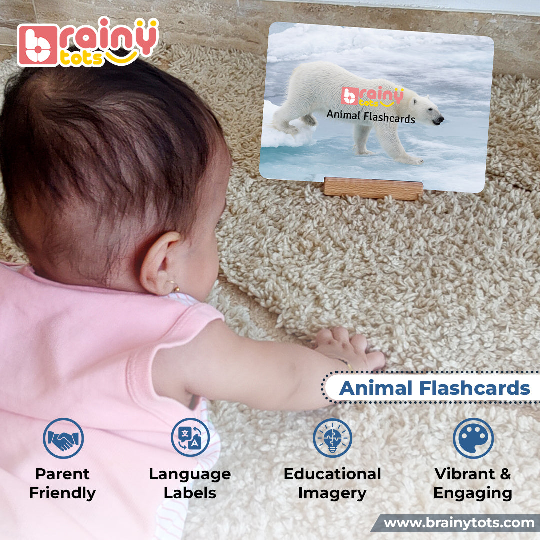 4-8 Months Baby Toy Box