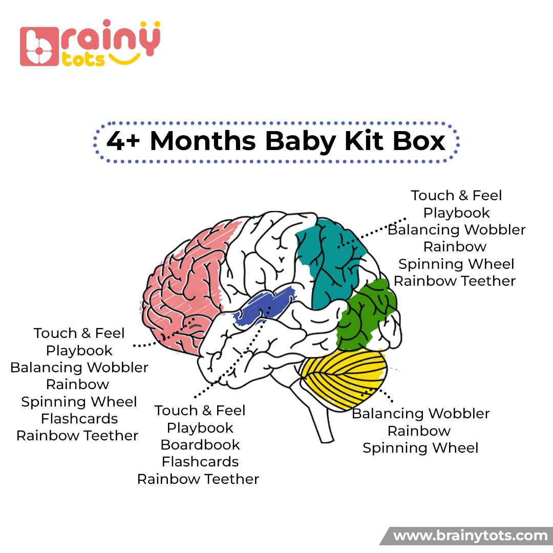 4-8 Months Baby Toy Box