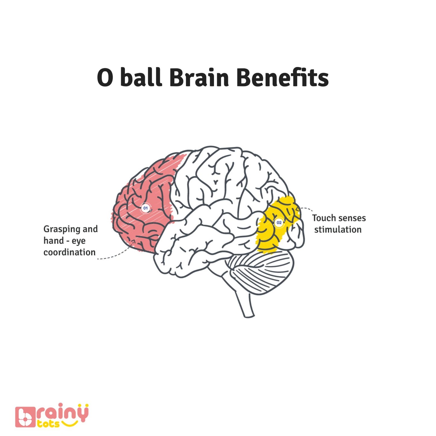 Experience the brain-boosting benefits of the O Ball: - Enhances sensory stimulation - Promotes hand-eye coordination - Encourages spatial awareness - Stimulates fine motor skills Unlock your child's potential with Brainytots' enriching toys.