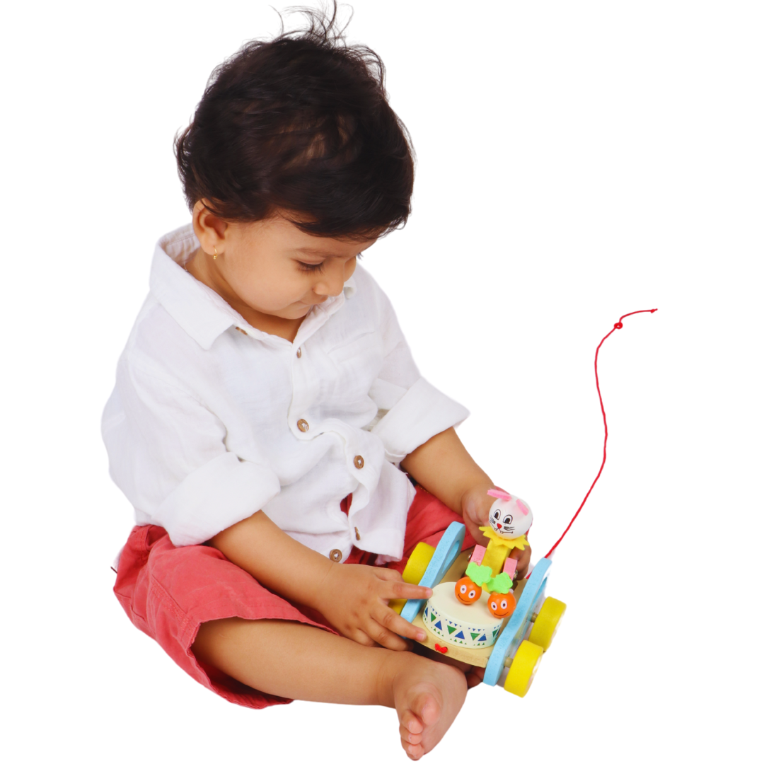 Pull Toy