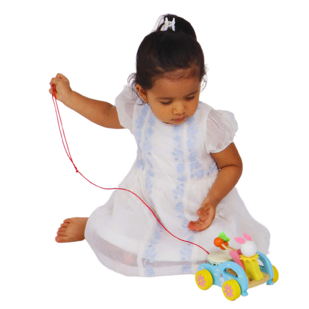 Pull Toy