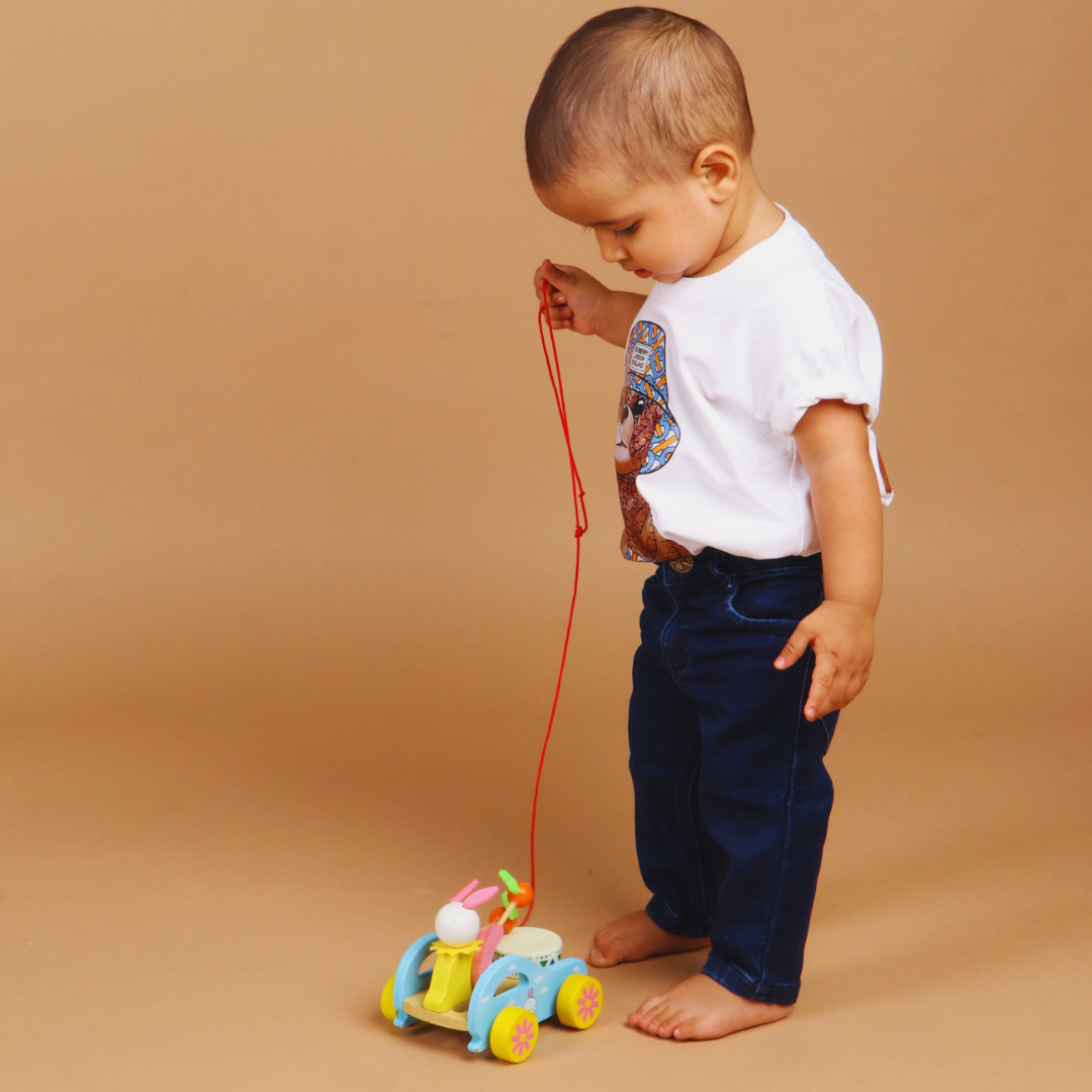 Pull Toy