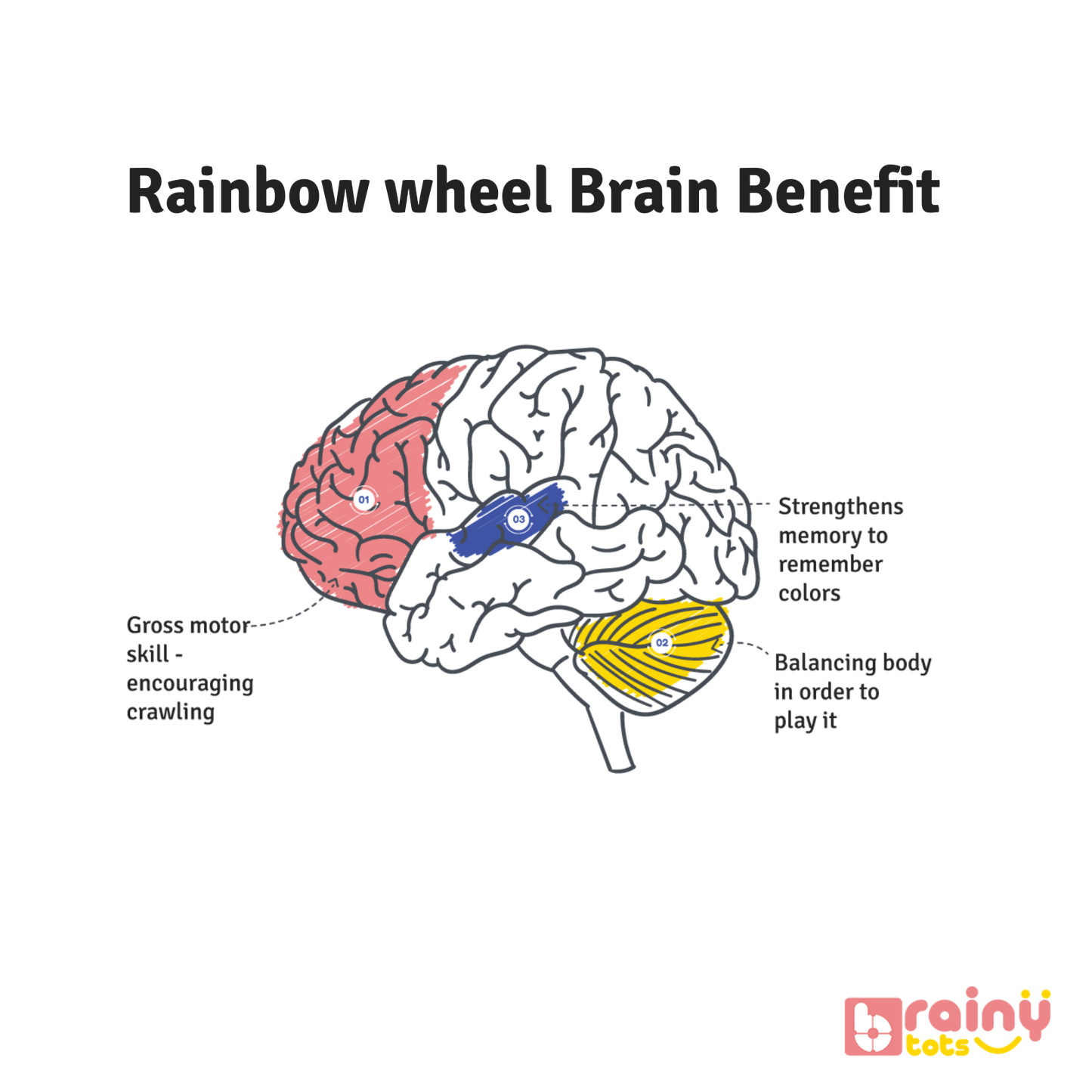 Experience the cognitive benefits of our Rainbow Spinning Wheel for babies aged 3 months and up. As they engage with the colorful spinning motion, babies stimulate their visual senses, fostering cognitive development and spatial awareness. Elevate your baby's sensory exploration and early learning with BrainyTots.com.