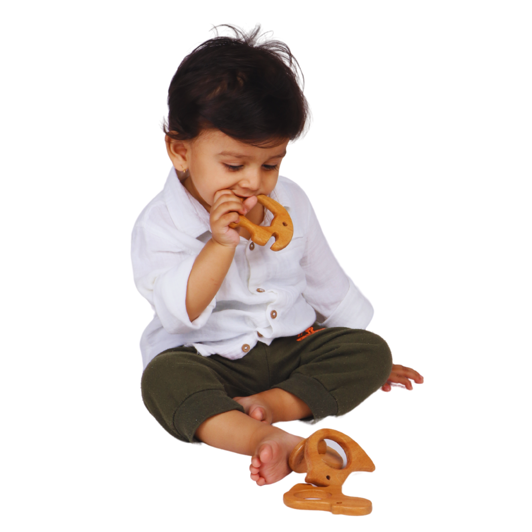 4 Neem Teethers