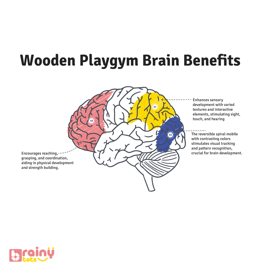 Our Wooden Play Gym enhances cognitive development in infants aged 0-12 months. It stimulates visual tracking, depth perception, and sensory exploration with high-contrast elements, varied textures, and interactive toys. This Montessori toy also promotes hand-eye coordination and motor skills. Safe, sturdy, and perfect for early learning and interactive play.