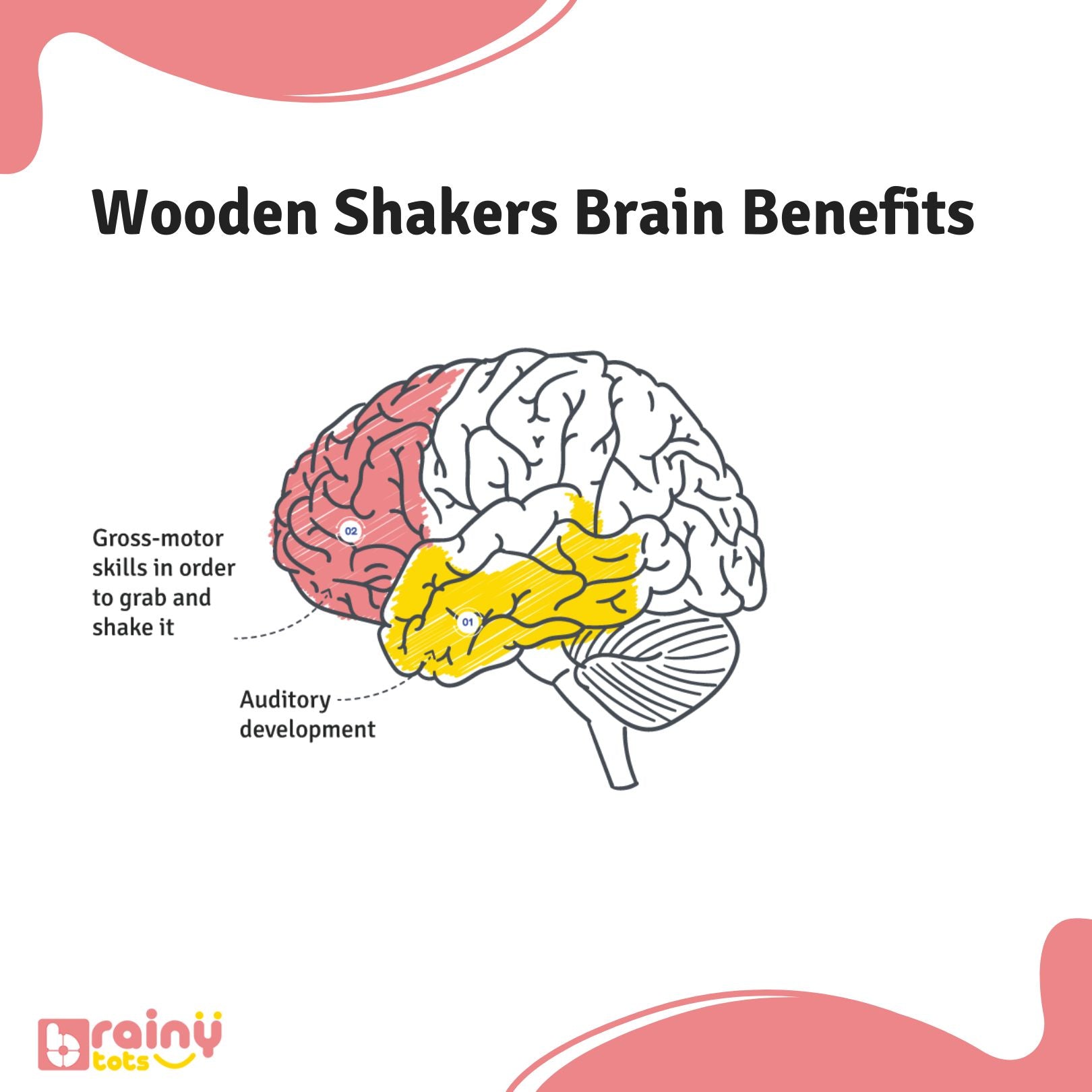 image of baby's brain showing which all areas of brain develop while playing with wooden egg shaker rattles