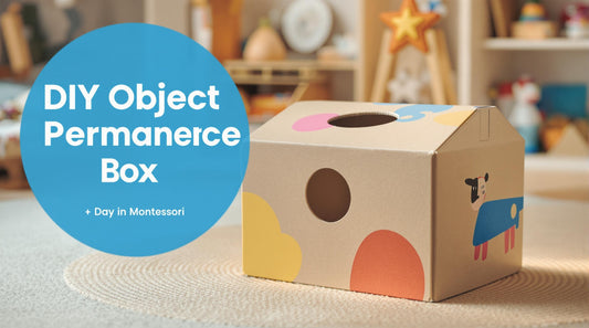 DIY Object Permanence Box: Fostering Curiosity and Early Learning Adventures