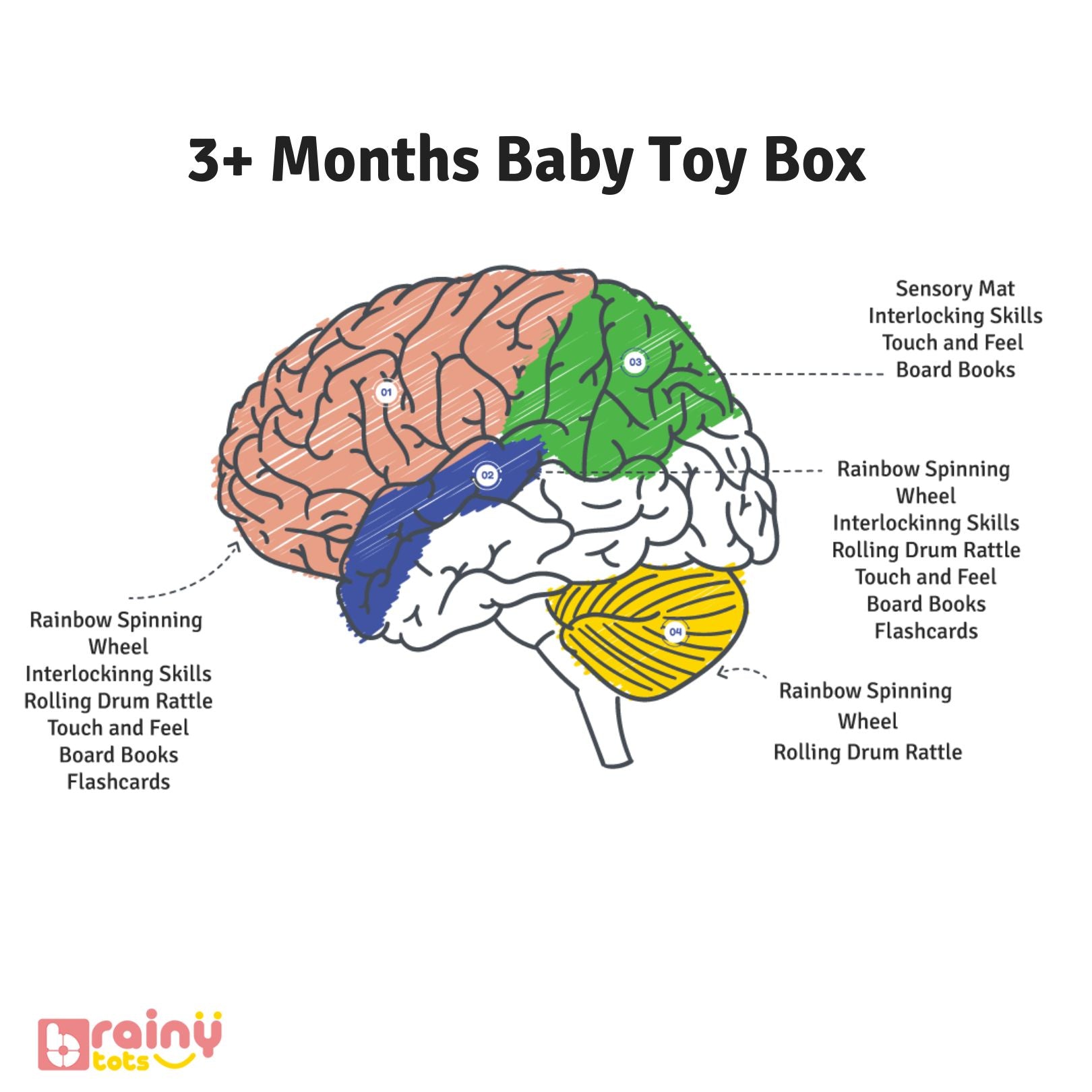 image of baby's brain showing which all areas of brain develop while playing with 3 plus months baby toy box