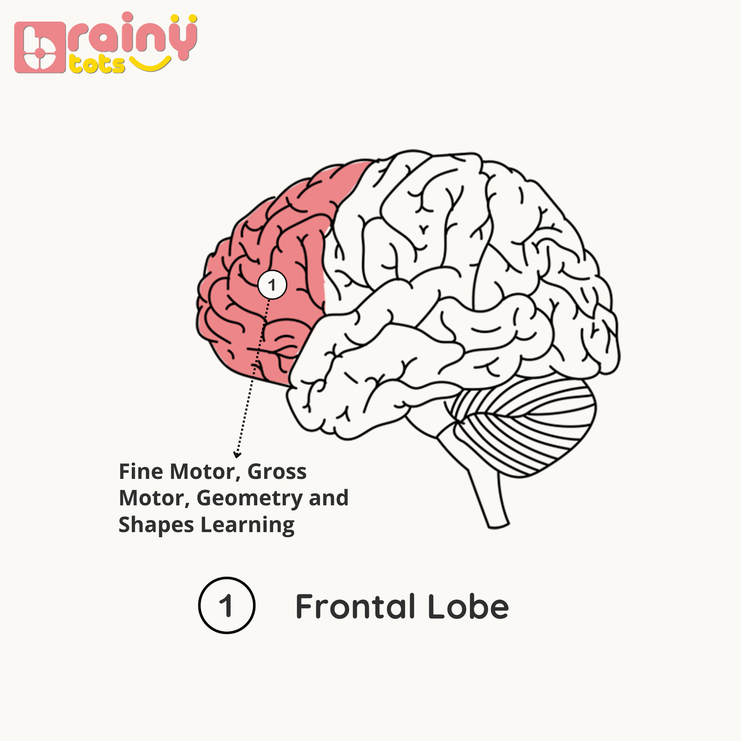 4 Shapes Wooden Puzzle - Montessori Shape Sorting Toy for Babies (6-24 Months)