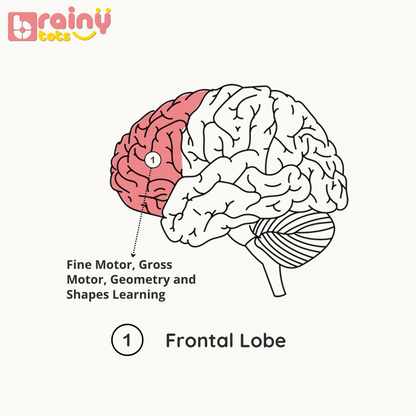 4 Shapes Wooden Puzzle - Montessori Shape Sorting Toy for Babies (6-24 Months)