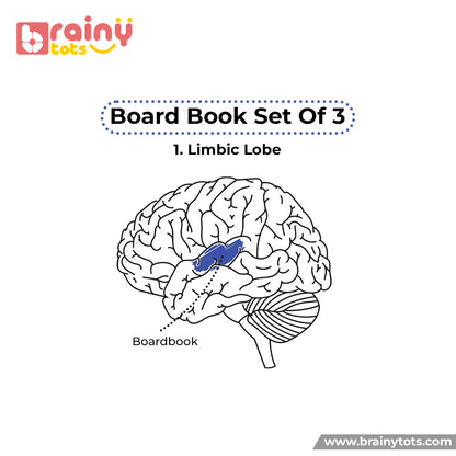 Board Books Set of 3