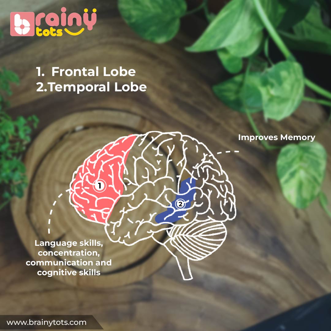 Language Development Kit