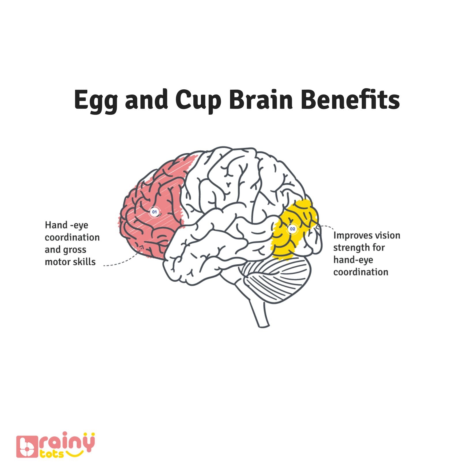 Explore the cognitive advantages of the Egg and Cup Montessori toy, fostering critical thinking and problem-solving skills in children. Delve into Brainytots for insights into its brain-boosting benefits and holistic learning experiences.