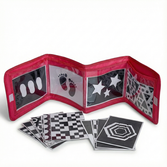 Flashcard Displayer | 2 Card Sets + Mirror