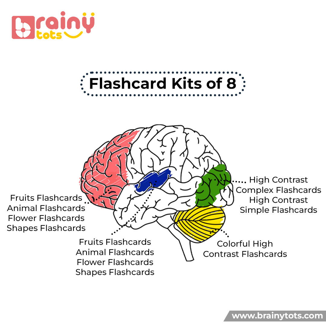 Flashcards Kit of 8 Sets