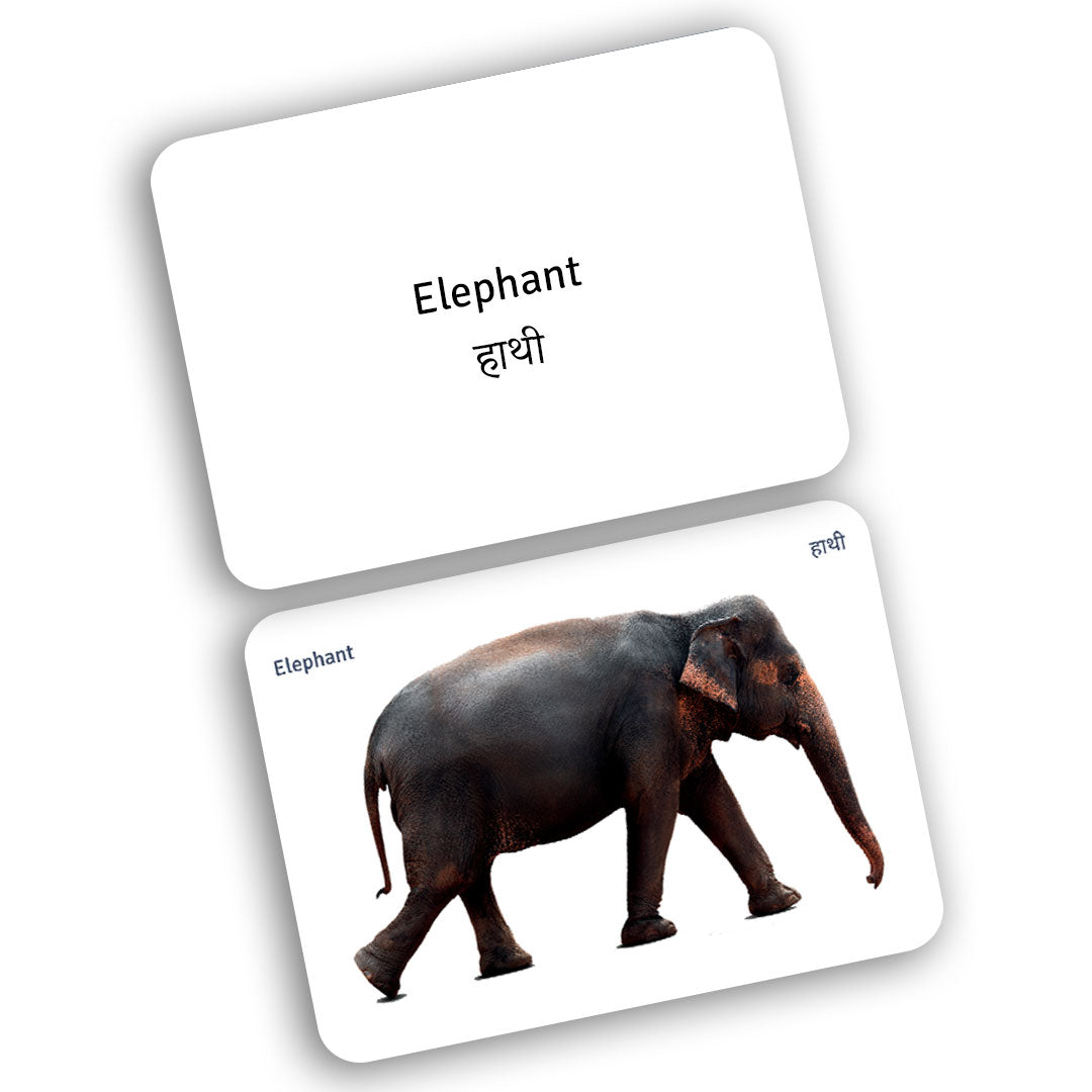 Discover our innovative dual-language flashcards, designed for effective learning on both the front and back sides. Explore our website to access a comprehensive selection of educational tools that facilitate bilingual comprehension and fluency development.