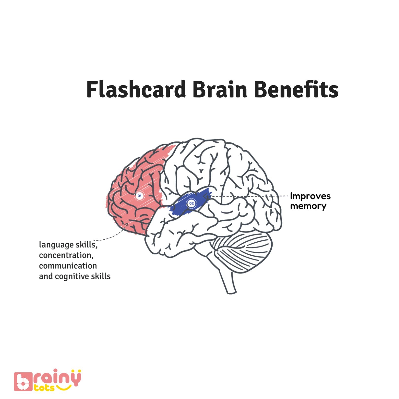 Discover the cognitive advantages of our flashcards through FlashcardsBrainBenefits. Dive into our website to explore how these versatile learning tools stimulate mental growth and enhance retention, providing an enriching study experience for learners of all ages.