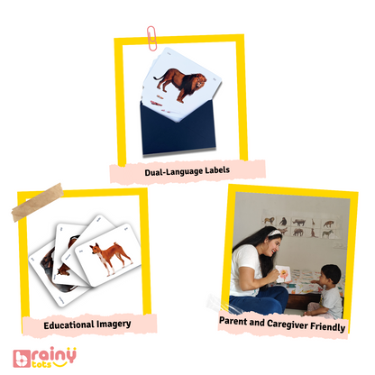 Uncover the rich features of our flashcards, meticulously designed to enhance learning experiences. Dive into our website to explore a myriad of educational tools, offering versatile study aids and interactive elements tailored to various subjects and learning styles.