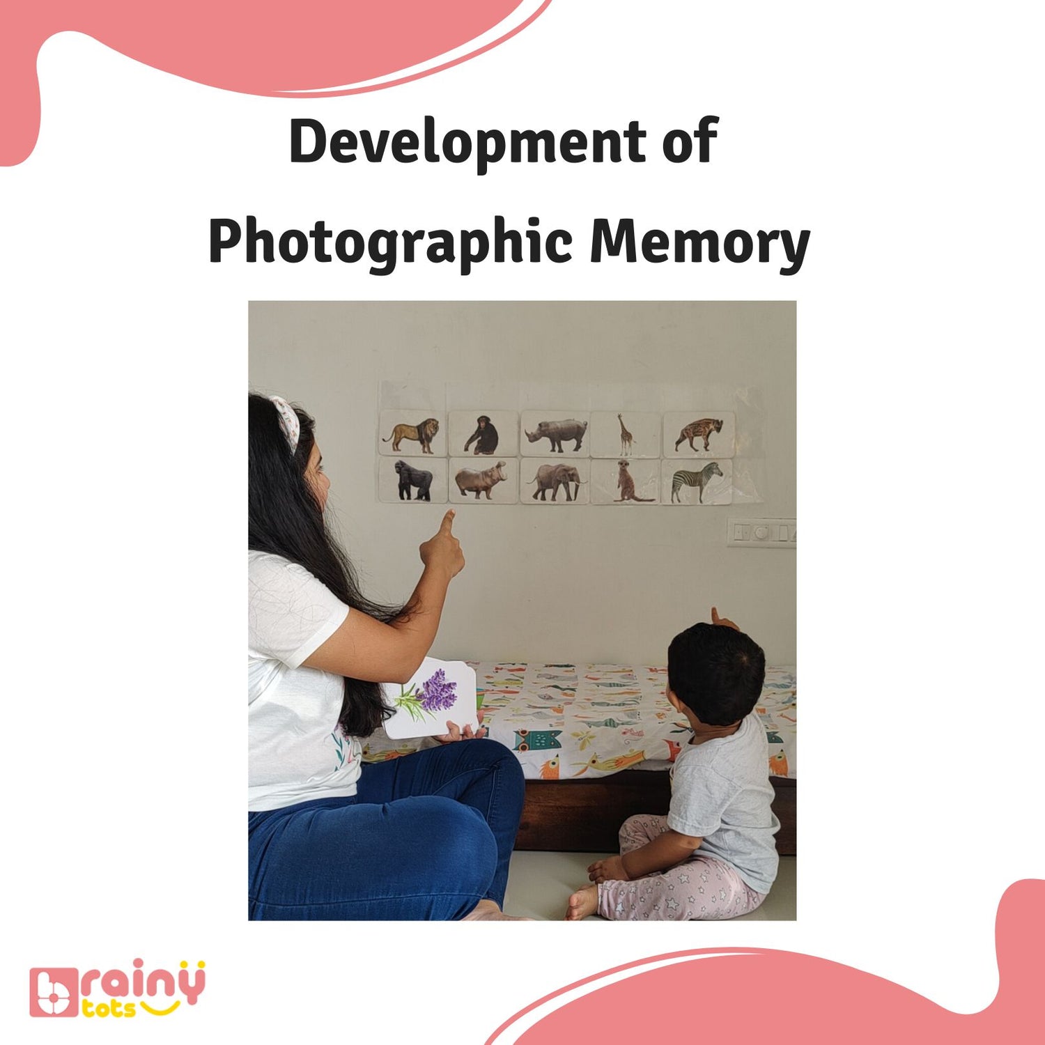 Strengthen your photographic memory with our flashcards. Through repeated exposure to visual stimuli and active recall, these versatile learning aids provide an effective method for enhancing memory retention and recall, fostering cognitive development and learning success.