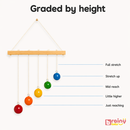 Colorful ball mobile graded by height with 'Bainytots Branding'