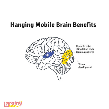 Our Hanging Mobile offers significant brain benefits for infants aged 0-12 months. It promotes visual tracking, depth perception, and cognitive development with a black and white side for early stimulation (0-3 months) and a colorful side for continued engagement (3-12 months). This Montessori toy enhances sensory development and motor skills, providing safe and durable support for early learning and interactive play.