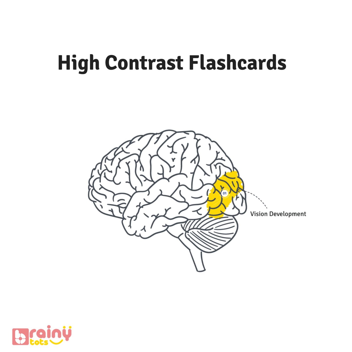 Discover the brain benefits of our High Contrast Flashcards in this image, showcasing how their stark black and white patterns stimulate neural development and visual tracking skills in infants.