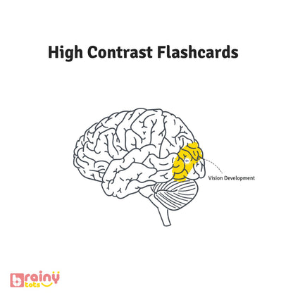 Discover the brain benefits of our High Contrast Flashcards in this image, showcasing how their stark black and white patterns stimulate neural development and visual tracking skills in infants.