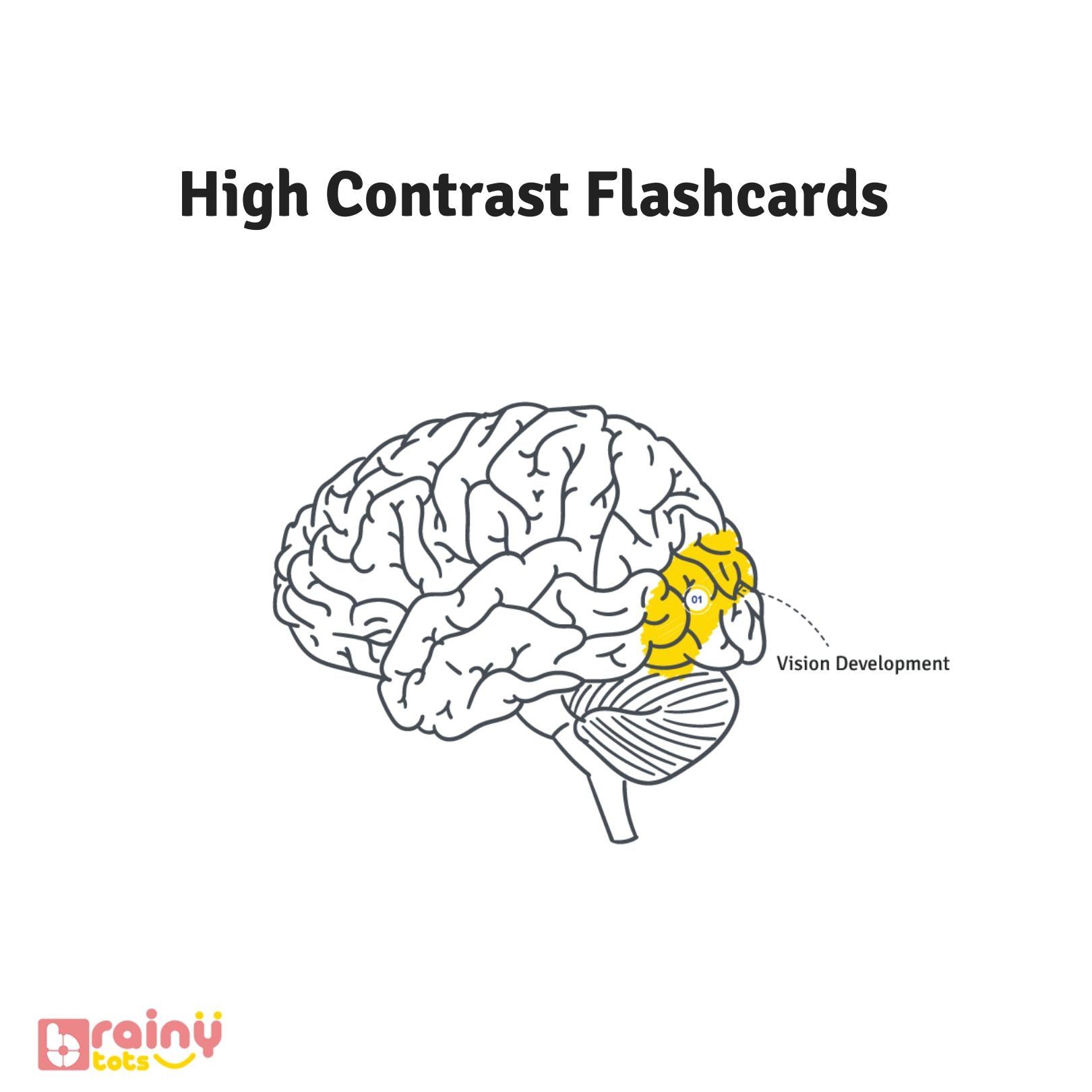 image of baby's brain showing which all areas of brain develop while playing with high contrast flashcards