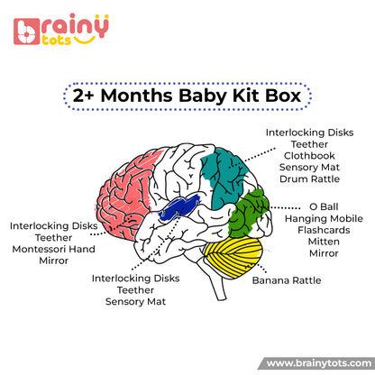 Montessori Toy Box - Level 2