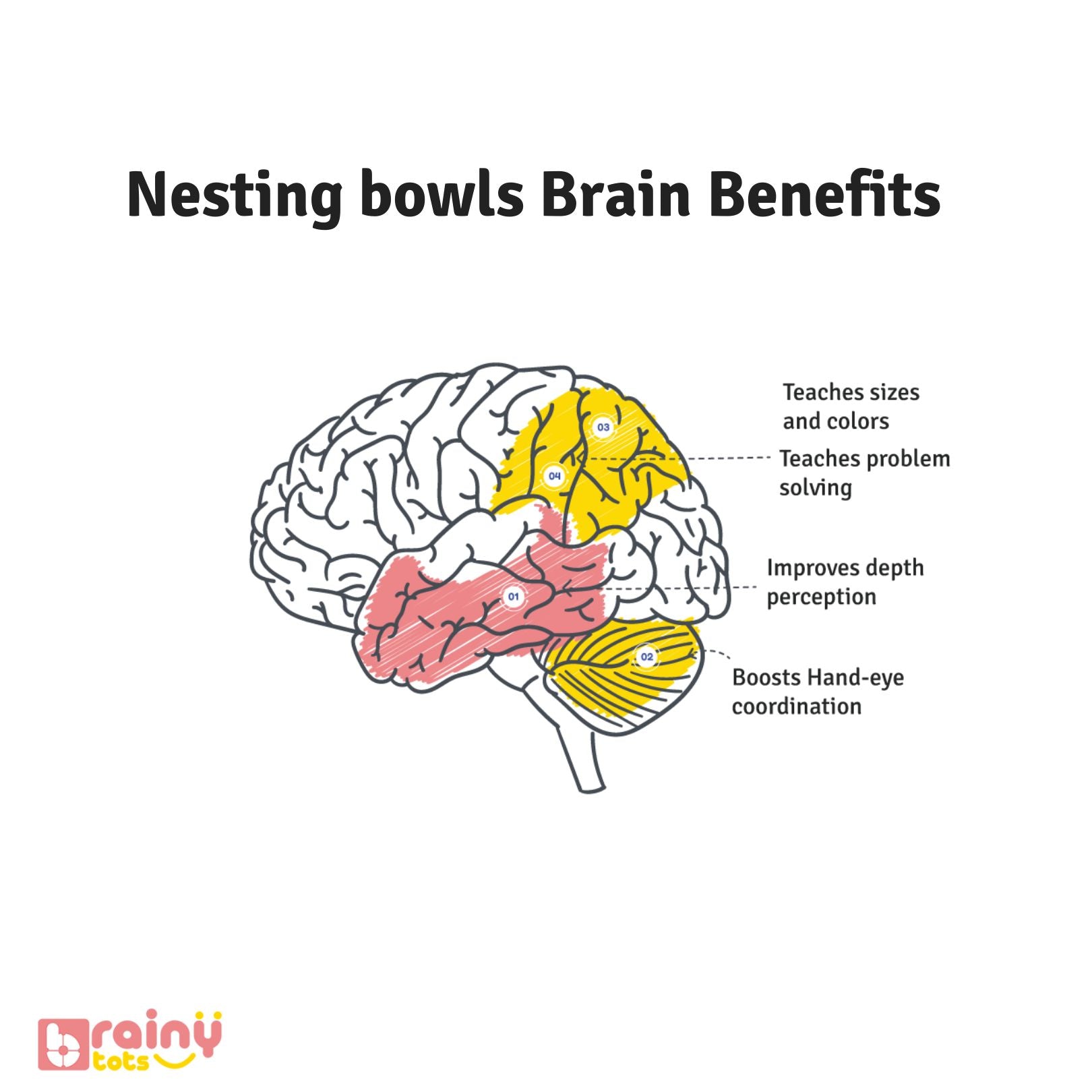 Our nesting bowls offer significant brain benefits for babies aged 6 months and up. They promote problem-solving skills, fine motor abilities, and cognitive development. These Montessori toys, made from safe and durable materials, are perfect for stacking, sorting, and sensory exploration. Ideal for early learning and interactive play.