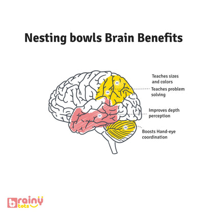 Our nesting bowls offer significant brain benefits for babies aged 6 months and up. They promote problem-solving skills, fine motor abilities, and cognitive development. These Montessori toys, made from safe and durable materials, are perfect for stacking, sorting, and sensory exploration. Ideal for early learning and interactive play.