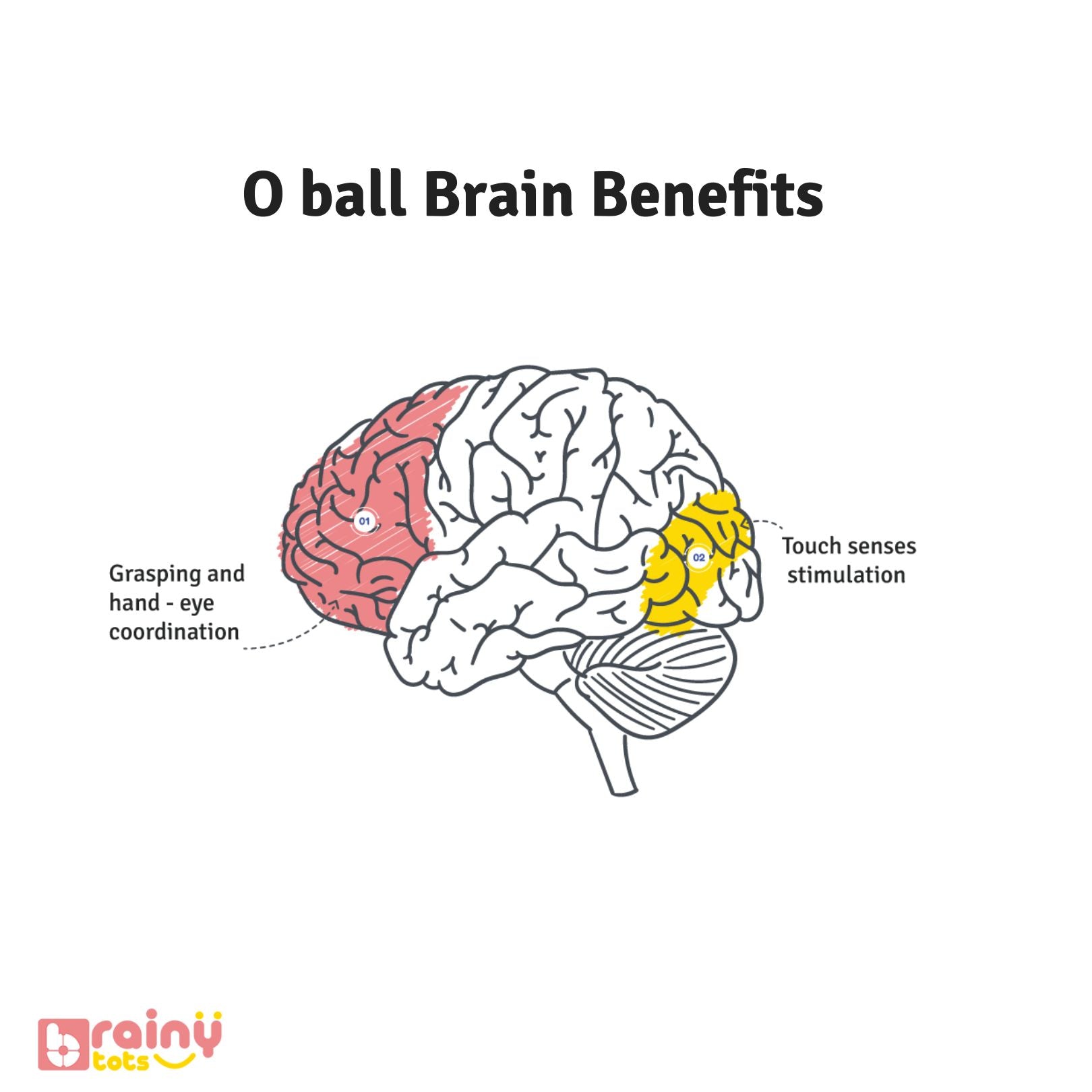 Experience the brain-boosting benefits of the O Ball:  - Enhances sensory stimulation - Promotes hand-eye coordination - Encourages spatial awareness - Stimulates fine motor skills  Unlock your child's potential with Brainytots' enriching toys.
