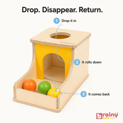 Object Permanence Box – “Where Did It Go?” Learning Toy