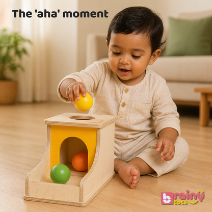 Object Permanence Box – “Where Did It Go?” Learning Toy