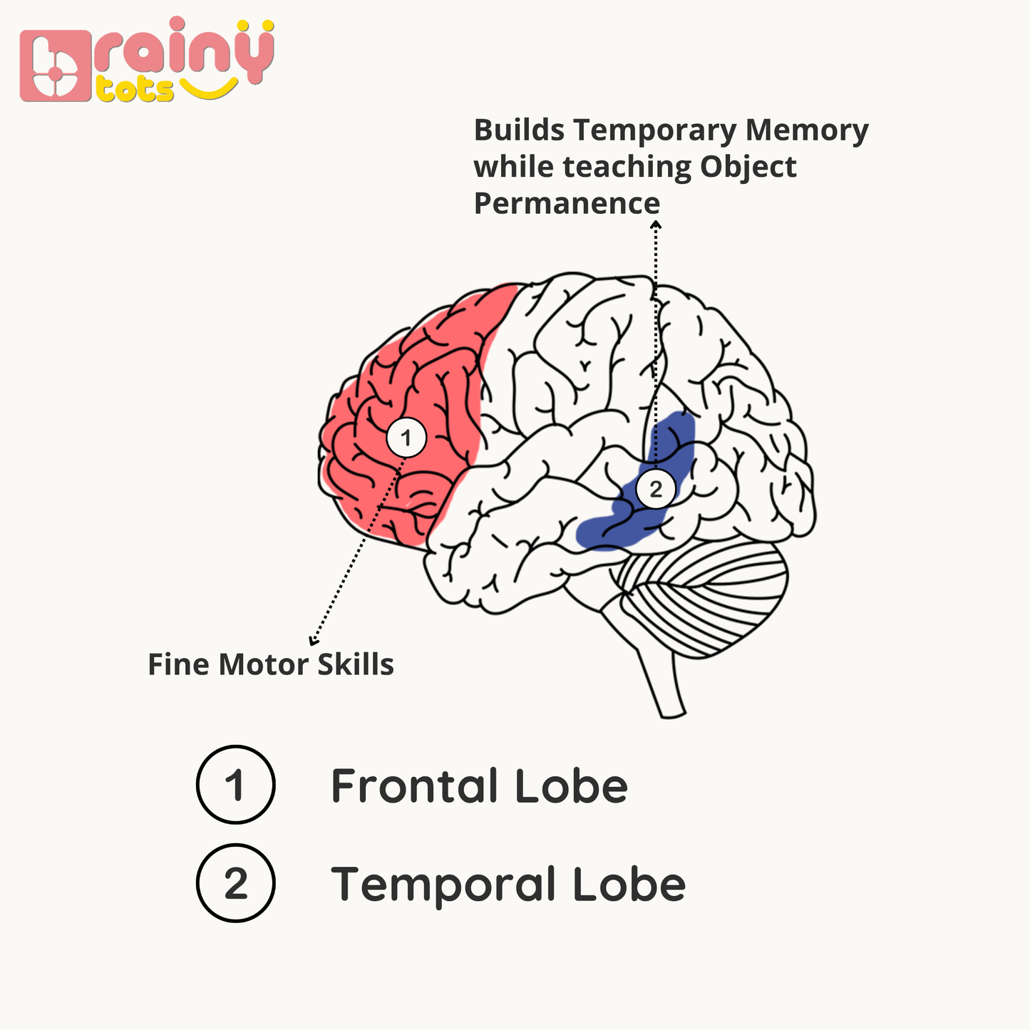 Object Permanence Box with 3 Balls