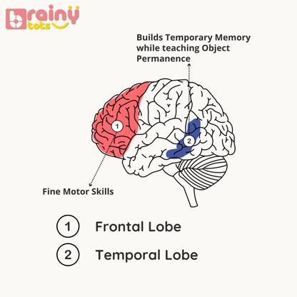 Object Permanence Box with 3 Balls