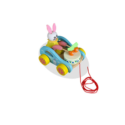 Discover the charm of our Pull Toy in this image, featuring a colorful and engaging design that encourages toddlers to walk and explore, enhancing motor skills and physical development through playful interaction.