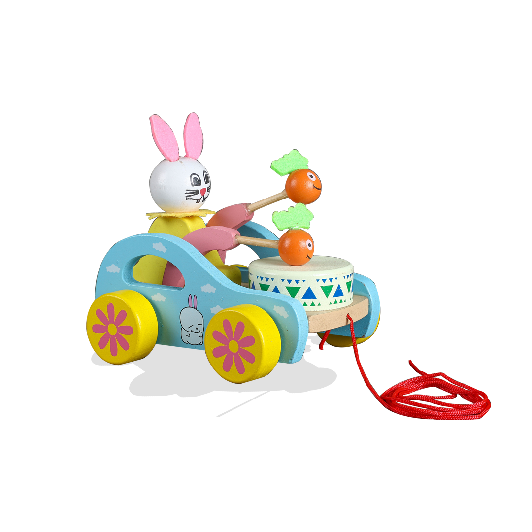 Discover the charm of our Pull Toy in this image, featuring a colorful and engaging design that encourages toddlers to walk and explore, enhancing motor skills and physical development through playful interaction.