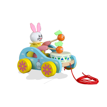 Discover the charm of our Pull Toy in this image, featuring a colorful and engaging design that encourages toddlers to walk and explore, enhancing motor skills and physical development through playful interaction.