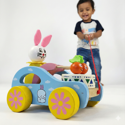 Pull Toy – First Walking & Follow-Along Toy for Babies & Toddlers | Montessori Walking Toy | 8-36 Months