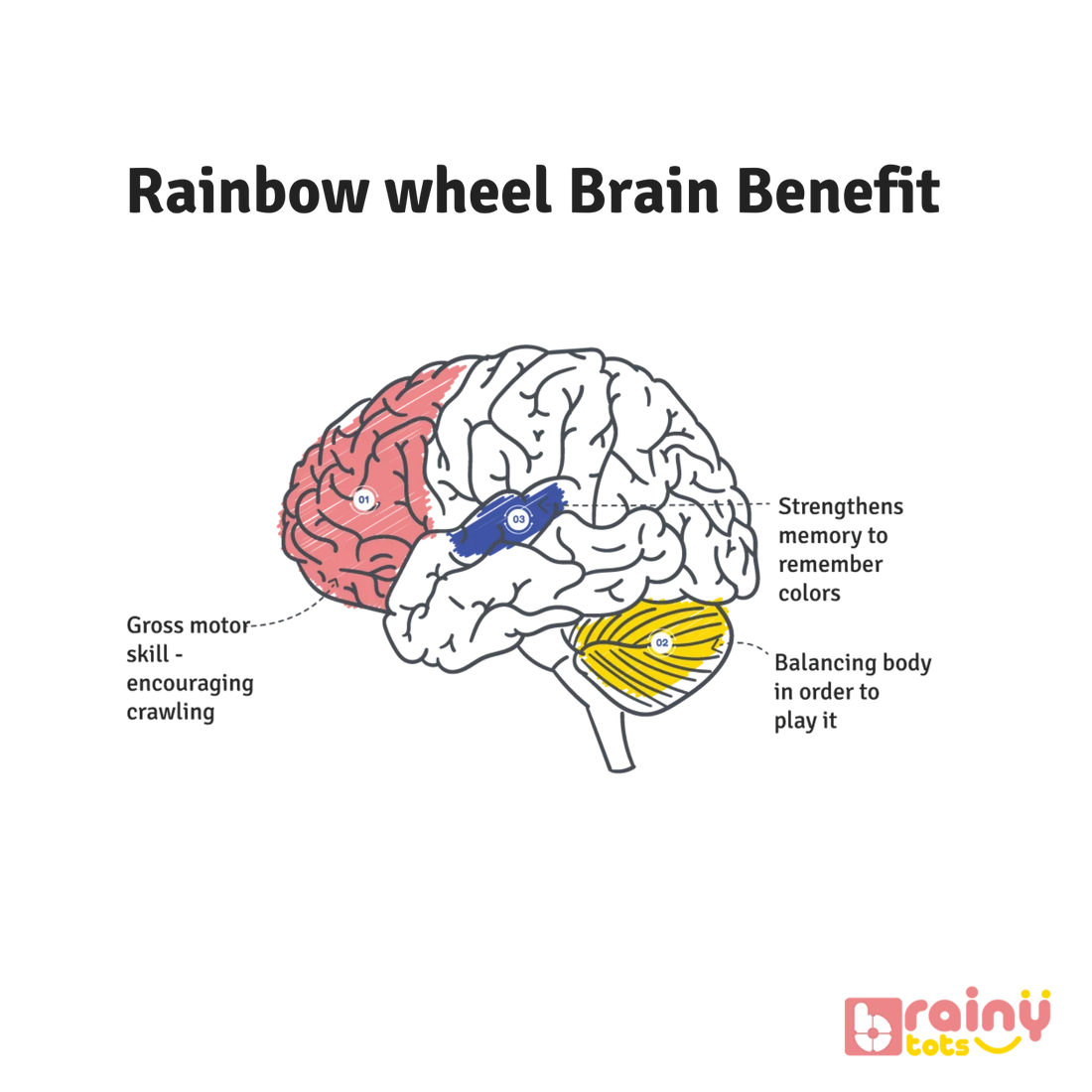 Experience the cognitive benefits of our Rainbow Spinning Wheel for babies aged 3 months and up. As they engage with the colorful spinning motion, babies stimulate their visual senses, fostering cognitive development and spatial awareness. Elevate your baby's sensory exploration and early learning with BrainyTots.com.