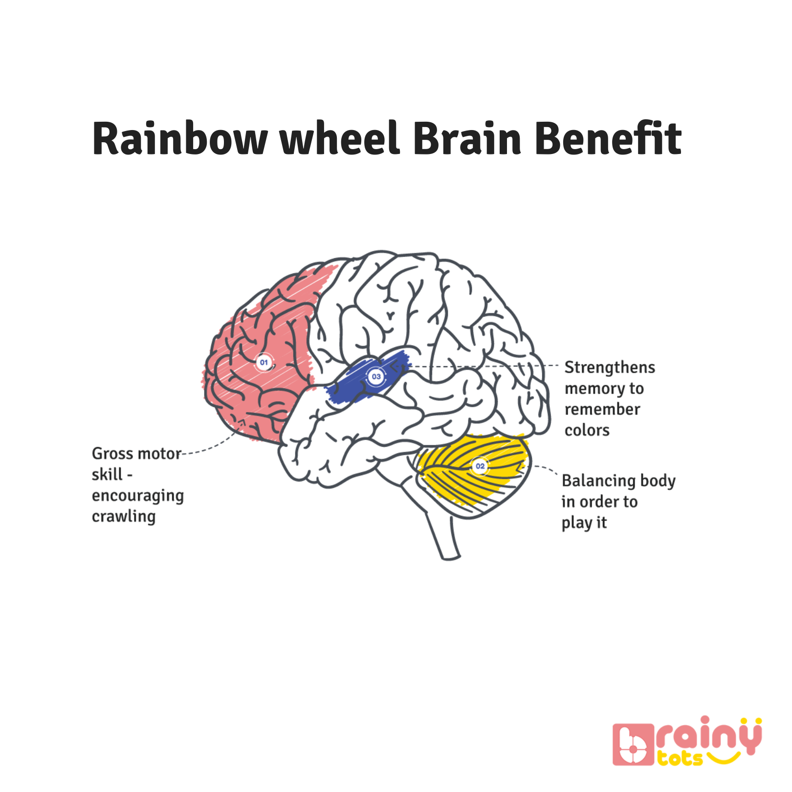 Experience the cognitive benefits of our Rainbow Spinning Wheel for babies aged 3 months and up. As they engage with the colorful spinning motion, babies stimulate their visual senses, fostering cognitive development and spatial awareness. Elevate your baby's sensory exploration and early learning with BrainyTots.com.